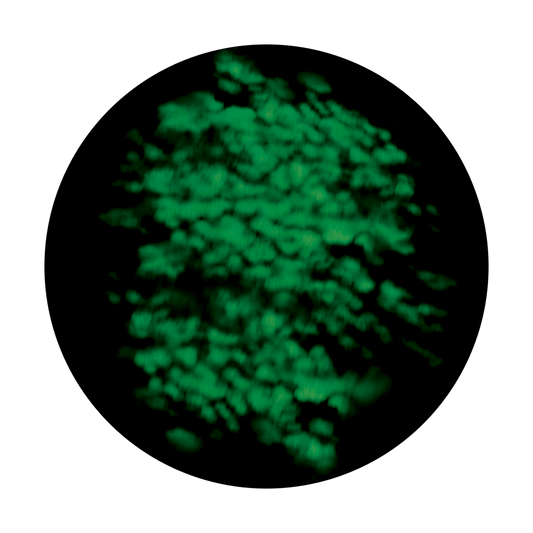 CS-0024 Blurred Greens
