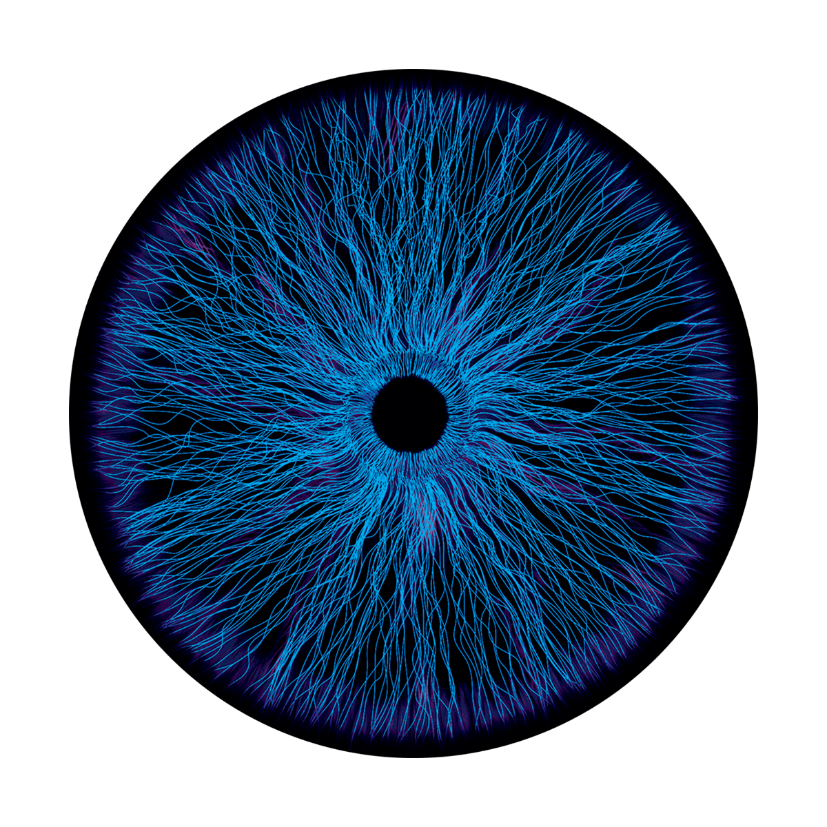 CS-0145 Blue Static