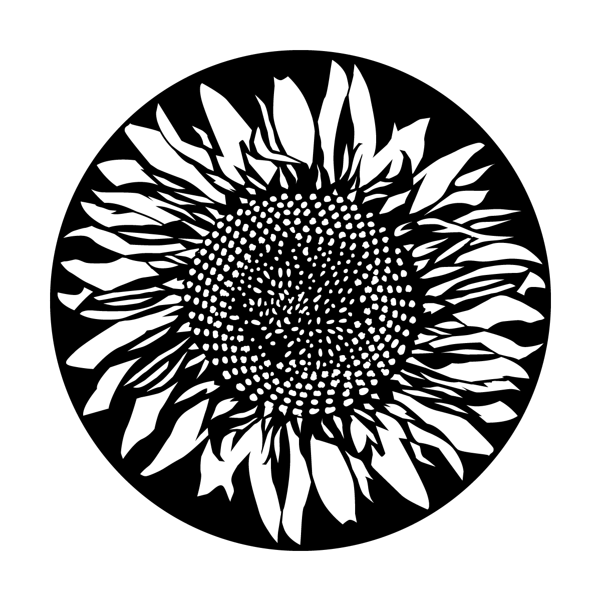ME-1167 Sunflower