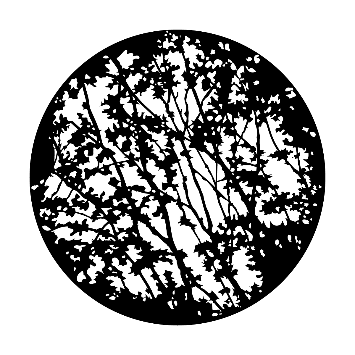 ME-3571 In The Thicket