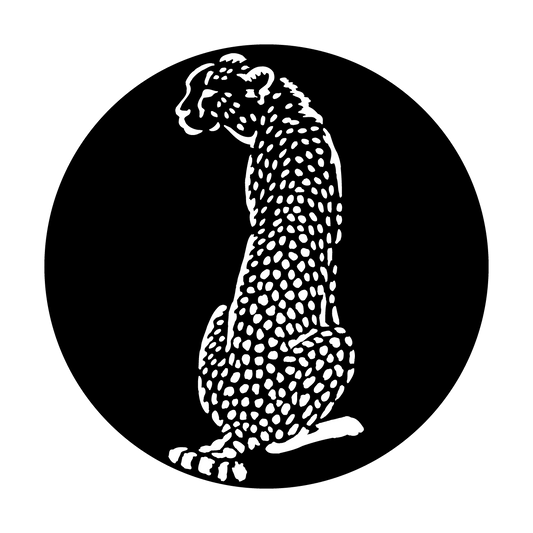 ME-4113 Africa - Cheetah