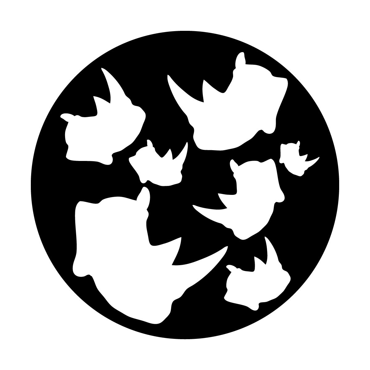 MEDS-8002 R. Breneisen - Breakup Rhino