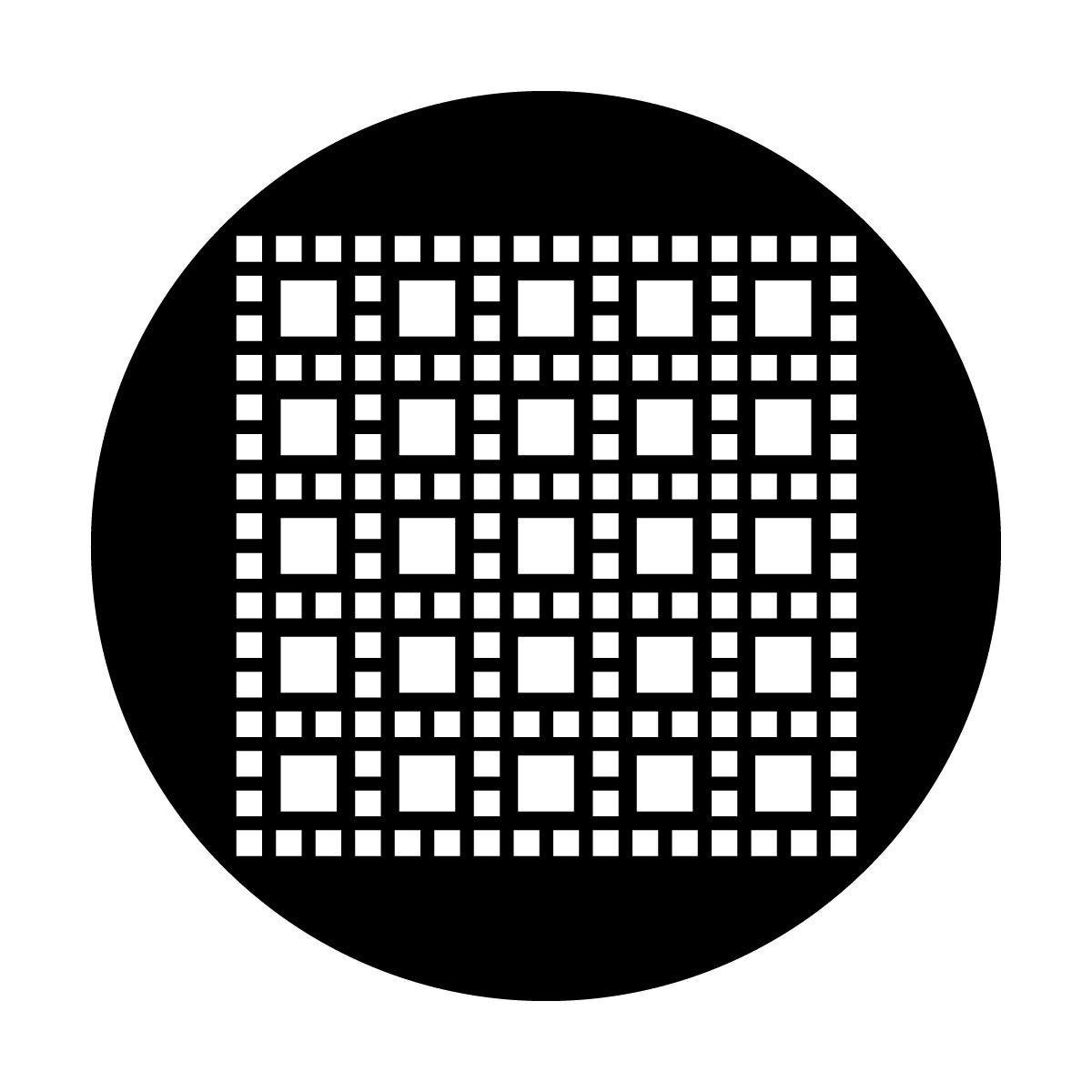 MEDS-8025 M. Nelson - Square Square Grid