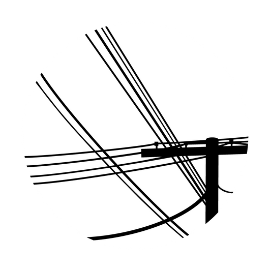MEDS-8044 M. Skinner - Electric Pole
