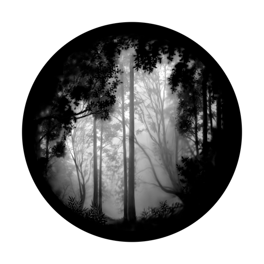 SR-0081 Forest Misty