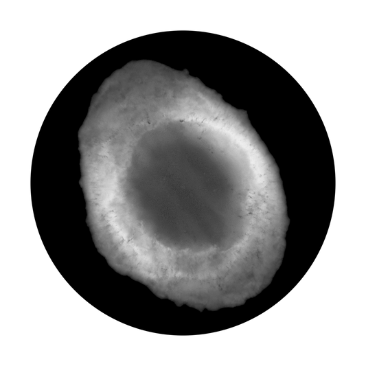 SR-0100 Space Nebula