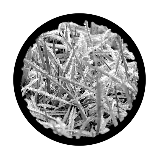 SR-1011 Frosted Grass