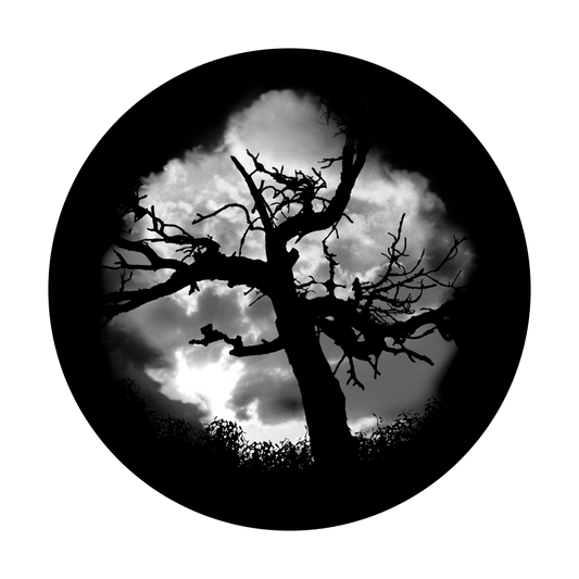 SR-1135 Haunted Tree