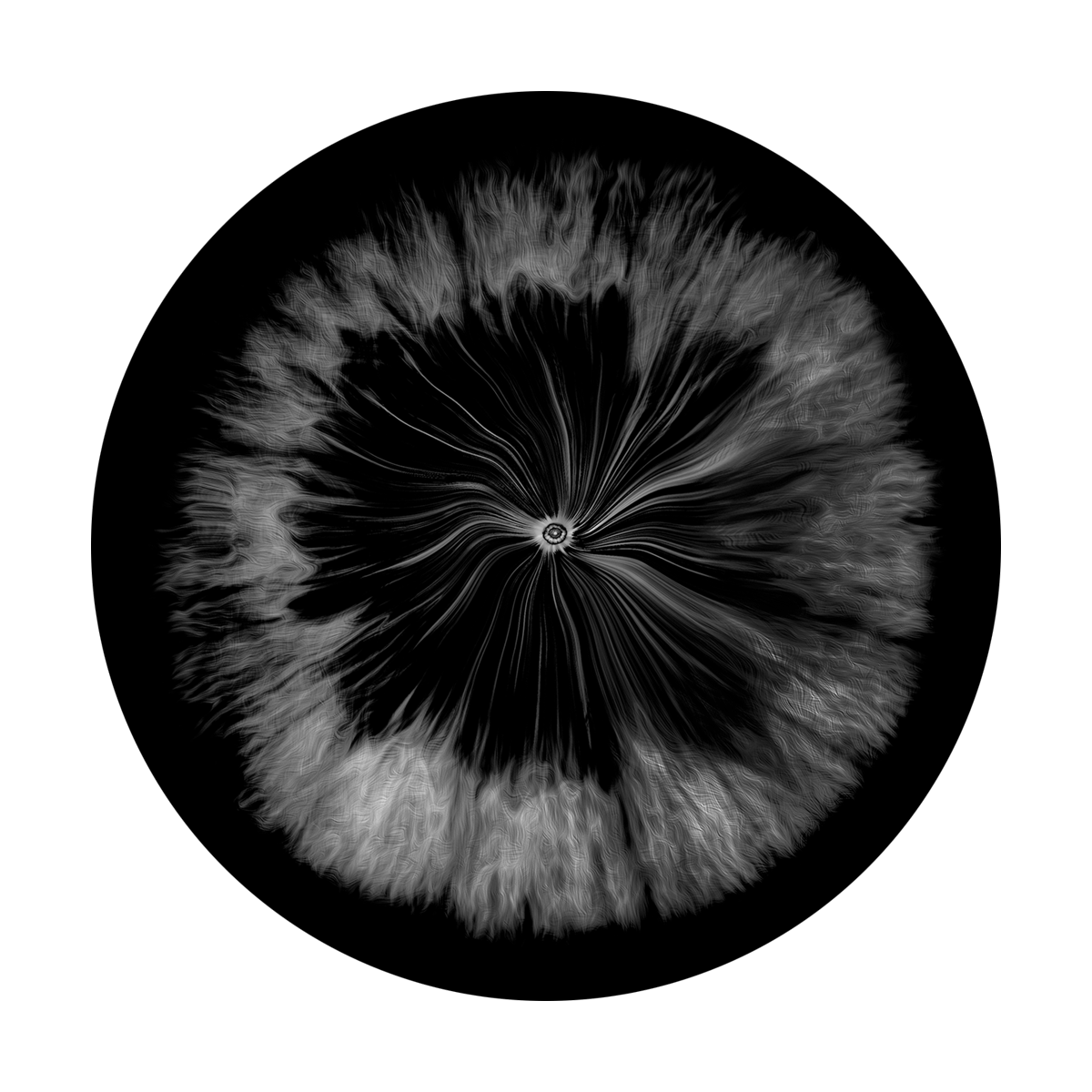 SR-6073 Black Implosion