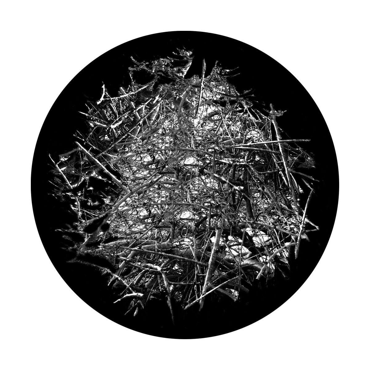 SR-6211 Thicket Sticks