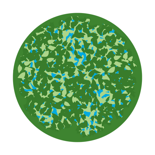 C2-0023 Dappled Leaves