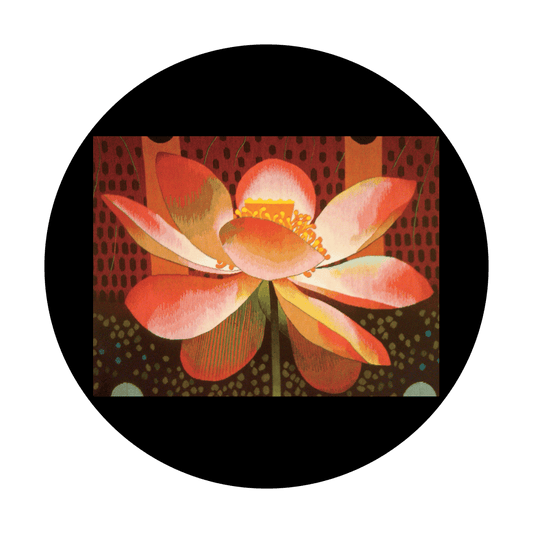 CSDS-8081 D. Antonakos - Lotus