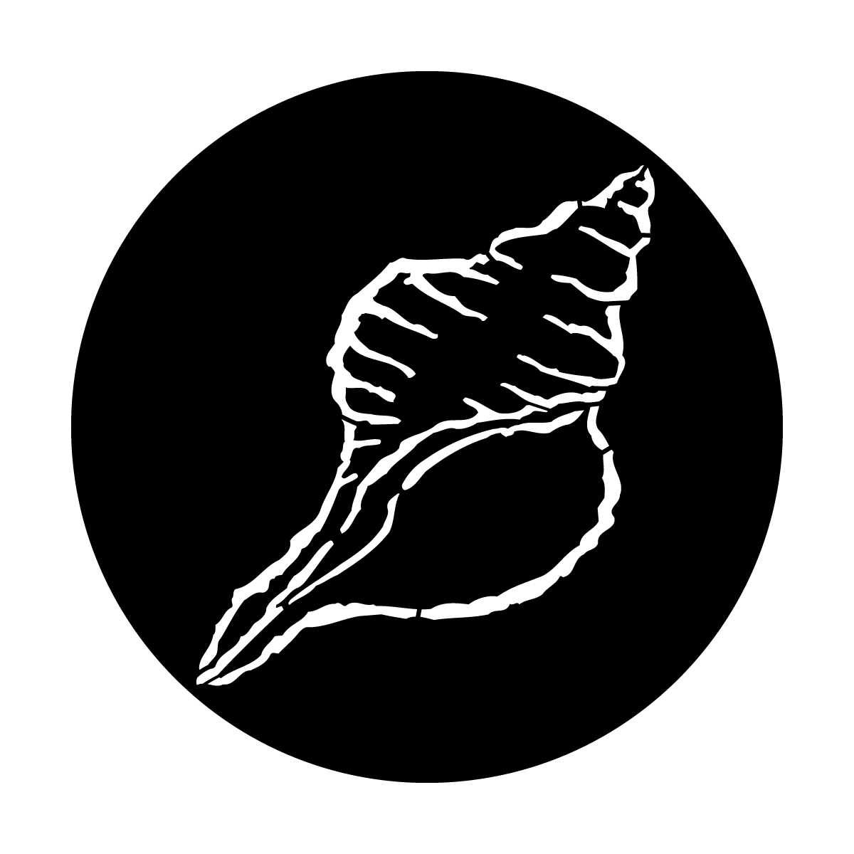 Melta Shell Metal Gobo | Sea Shell