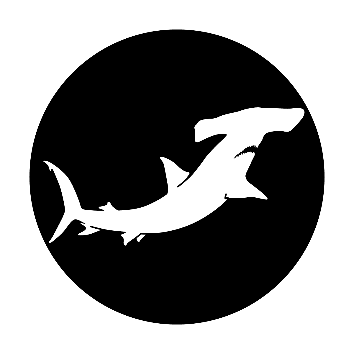 ME-9189 Hammerhead Shark