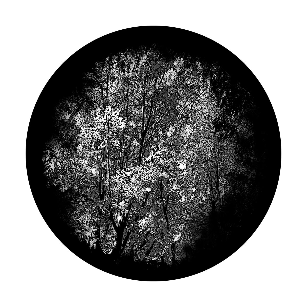 SR-0012 Dense Forest