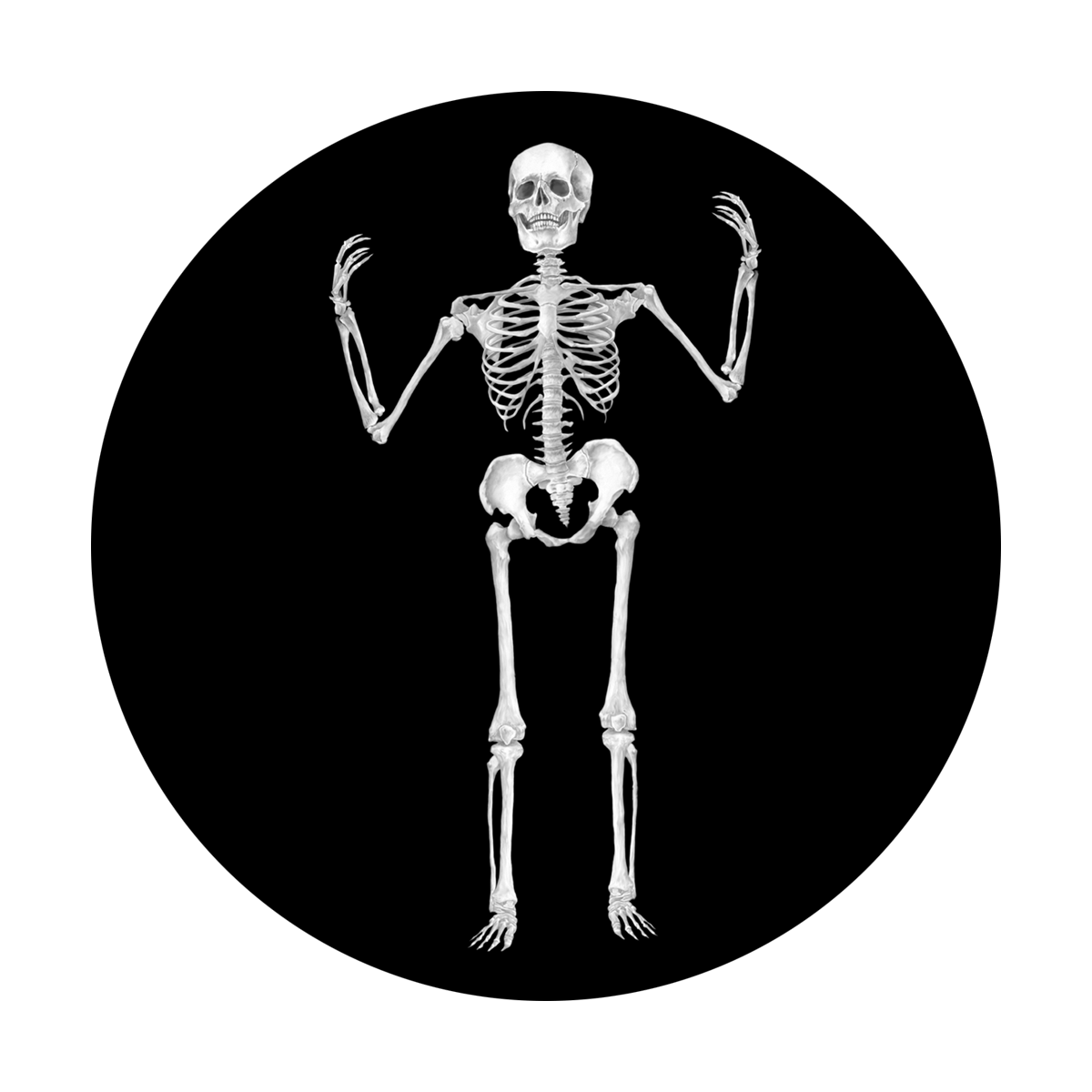 SR-0060 Skeleton