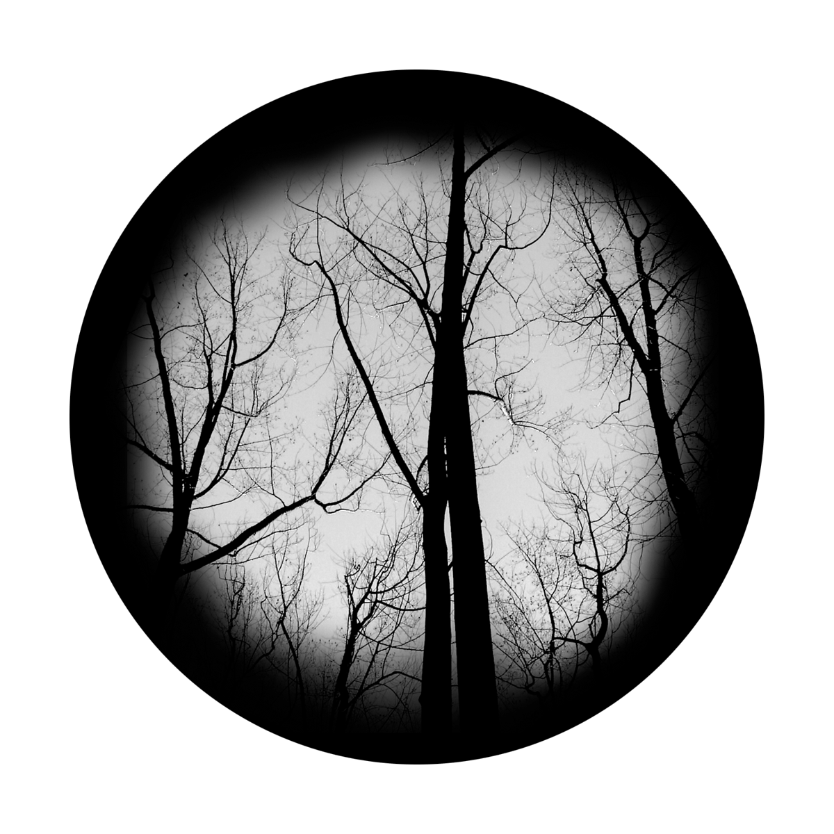 SR-0170 Haunted Forest