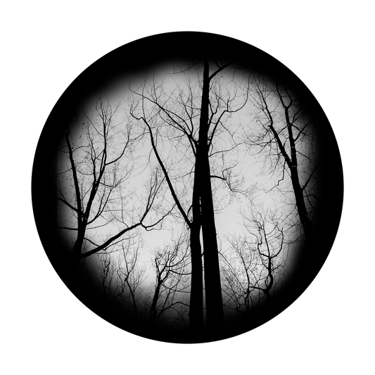 SR-0170 Haunted Forest