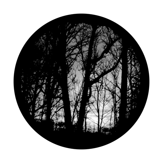 SR-0241 Eerie Forest