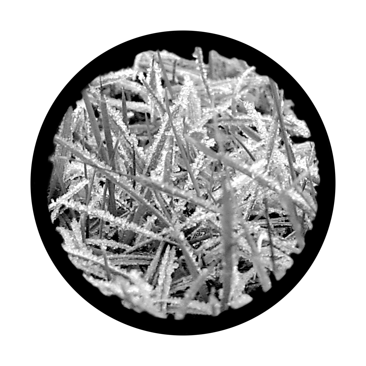 SR-1011 Frosted Grass