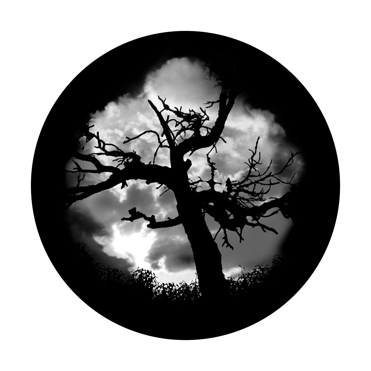 Tree Gobo Alpha B&W Gobo | Haunted Tree