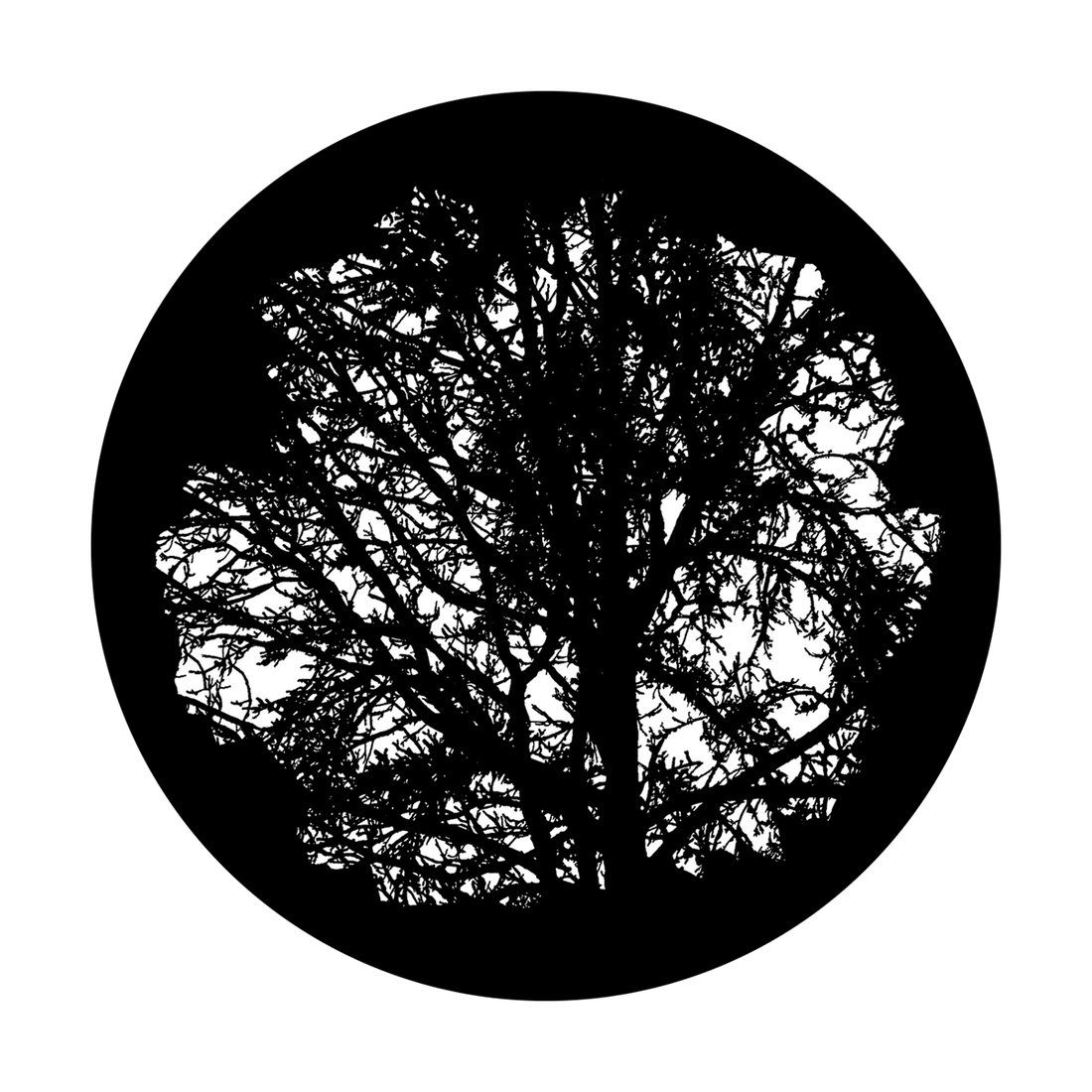 Tree Gobo Alpha B&W Gobo | Mature Tree