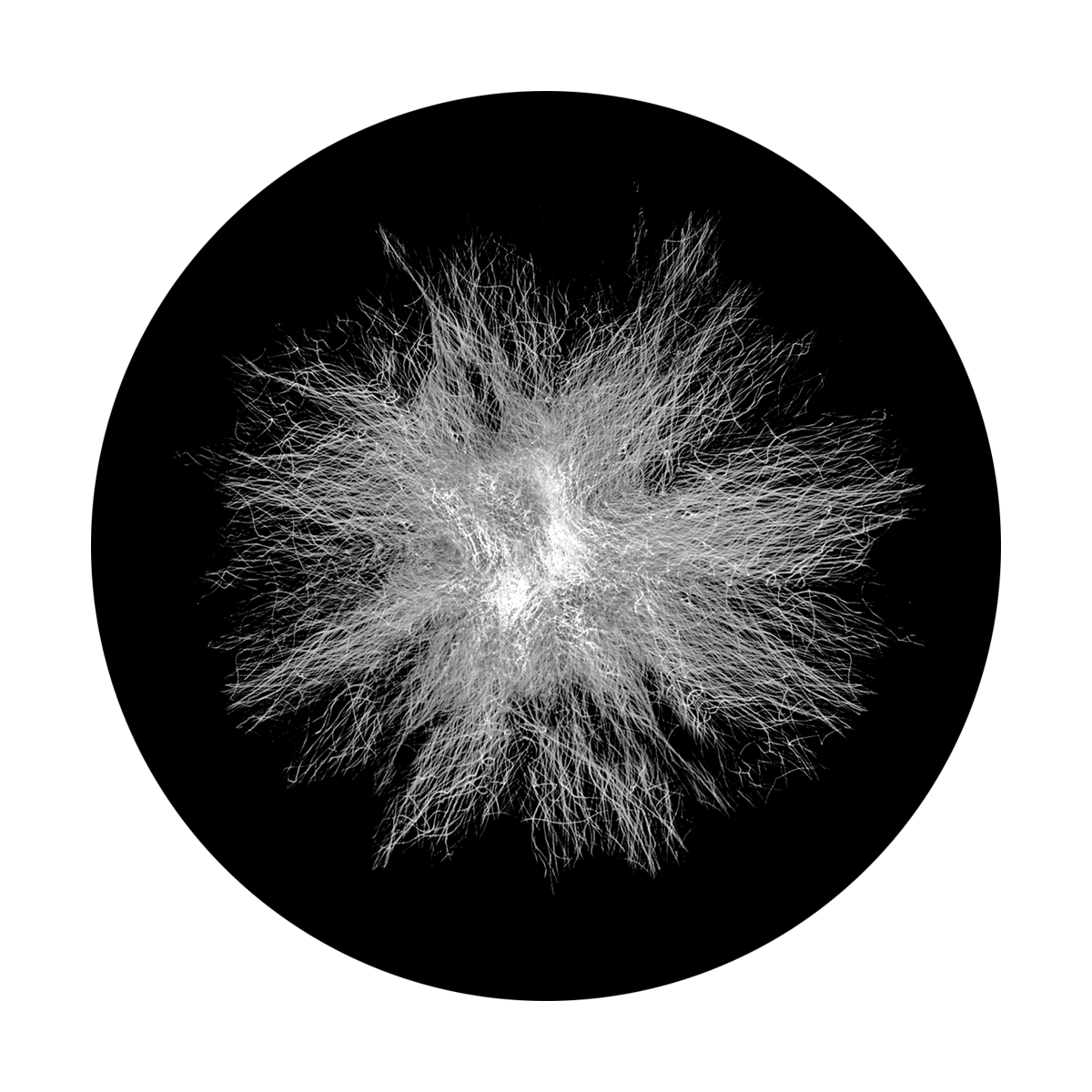 SR-2143 Static Dandelion