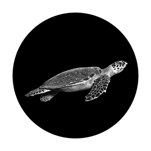 SR-6064 Swimming Turtle